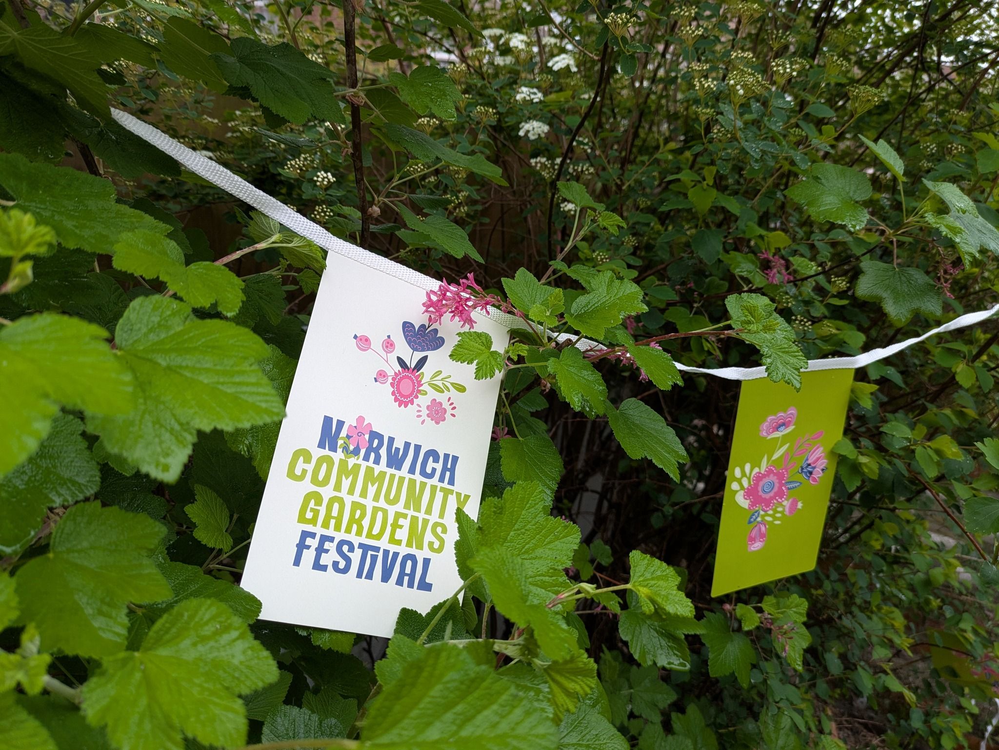 Admin for Norwich Community Gardens Festival