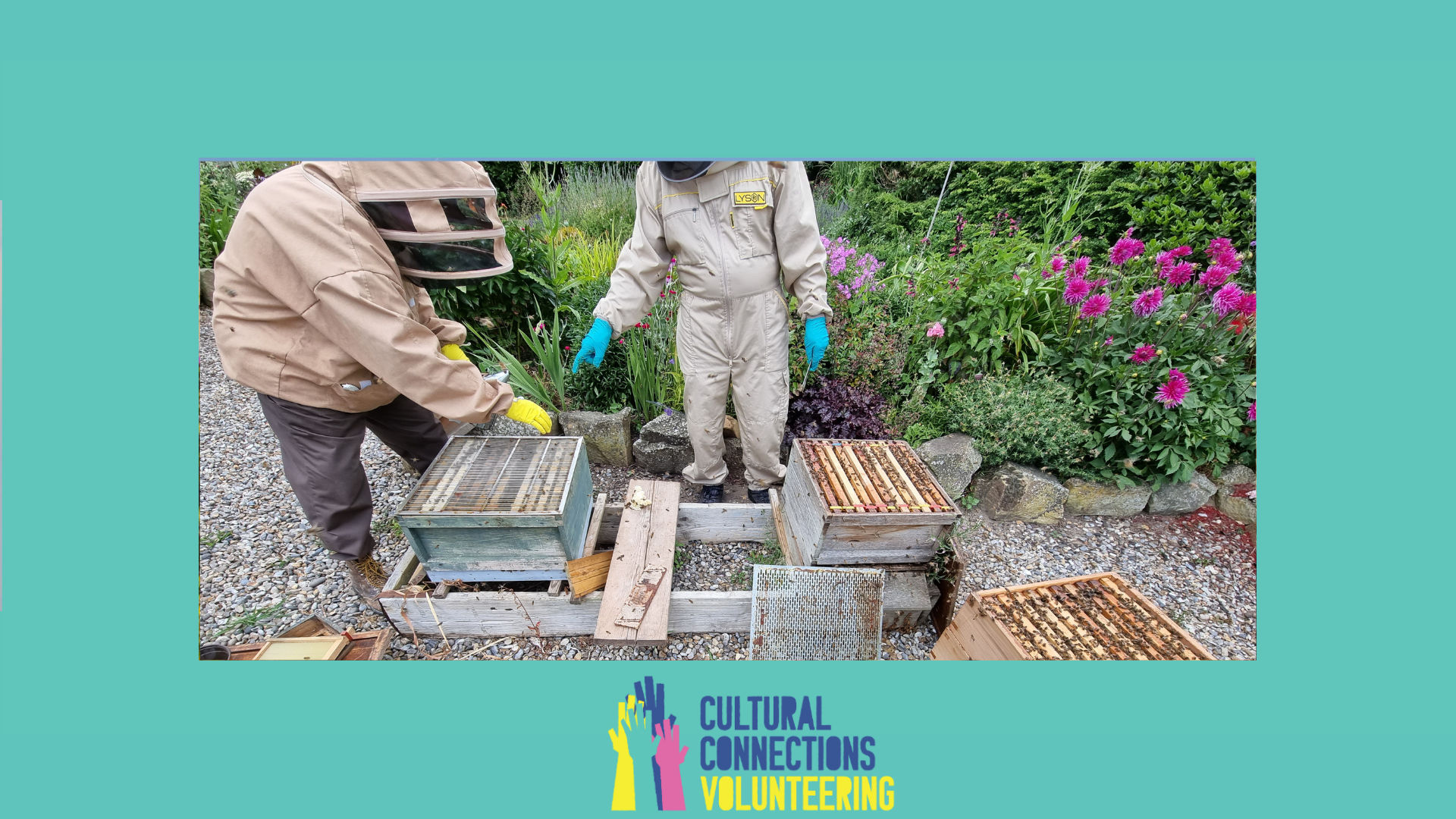 Bee keeping volunteers with Project Apis CIC