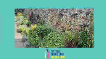 Town Wall Green Team