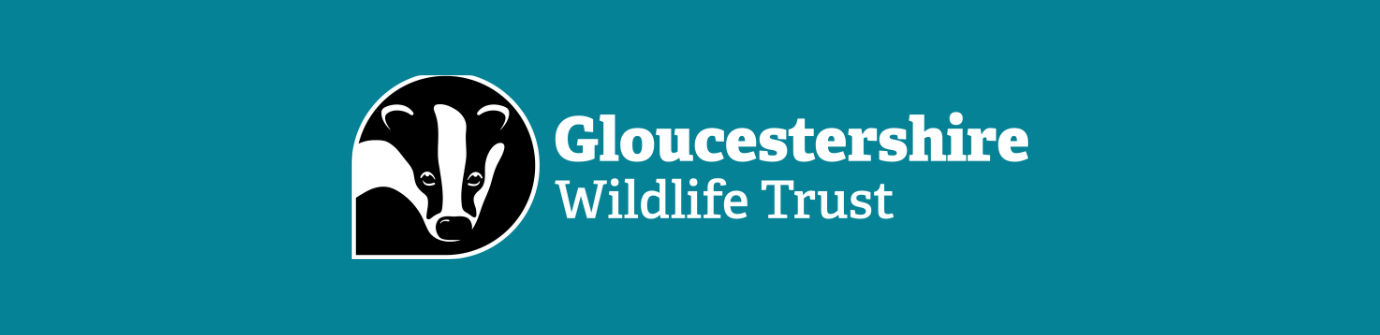 Nature Tots Coaley Peak - adult volunteer