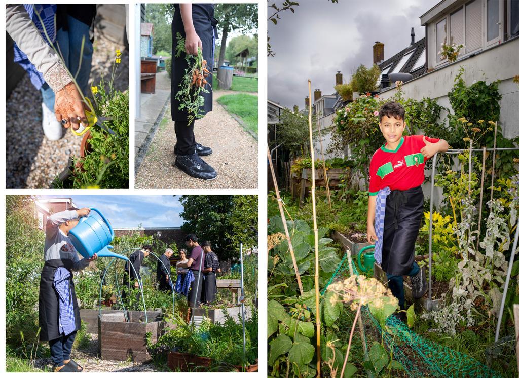 Coördinator sociale moestuin Schilderswijk