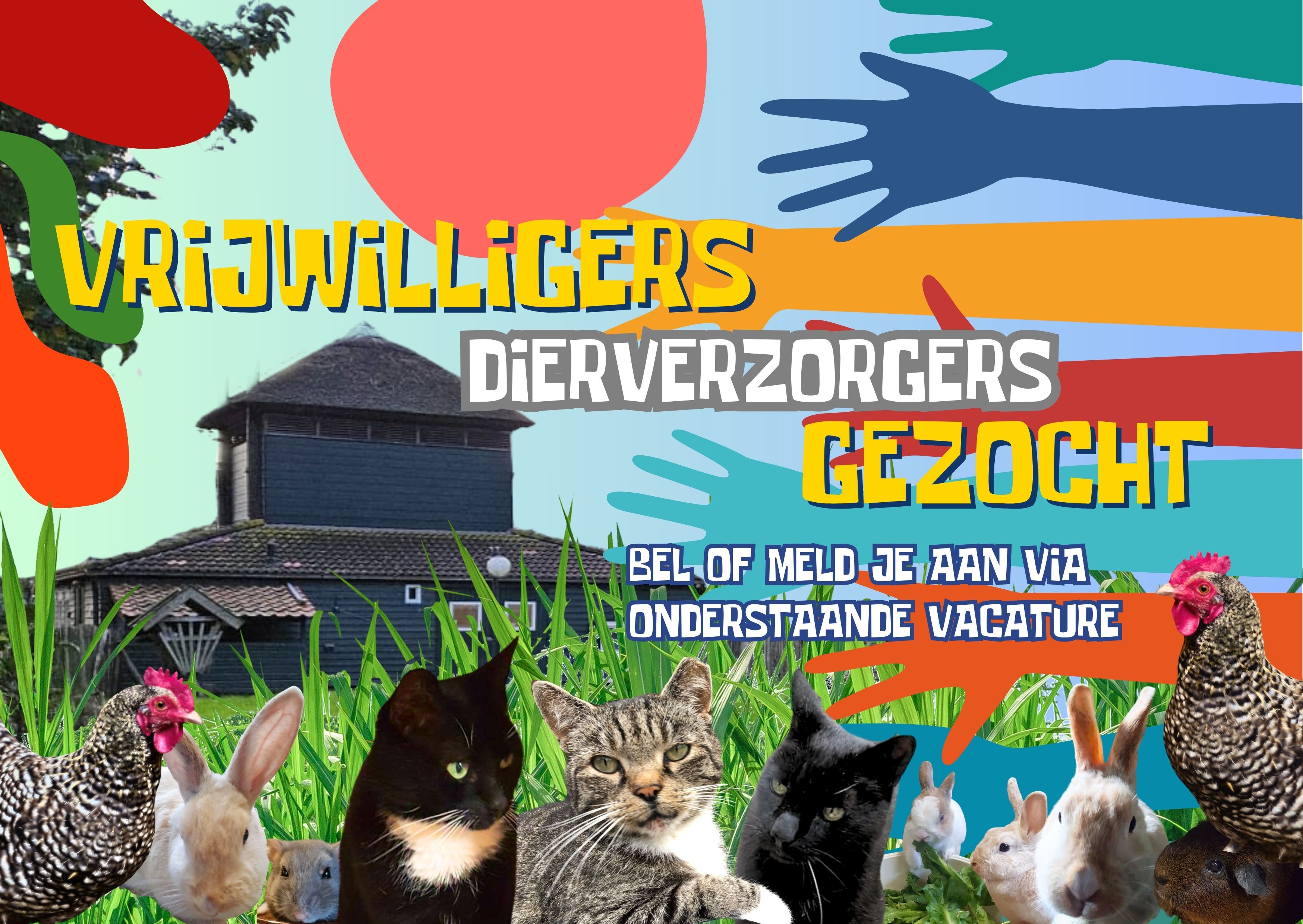 Animal lover wanted for our small neighborhood farm!