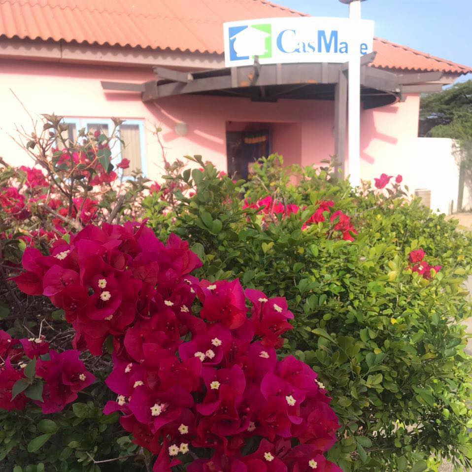 Dementievriendelijke tuinopruiming en afwerking van de kas