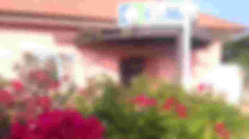 Dementia-Friendly Garden Clean-Up & Greenhouse Finishing