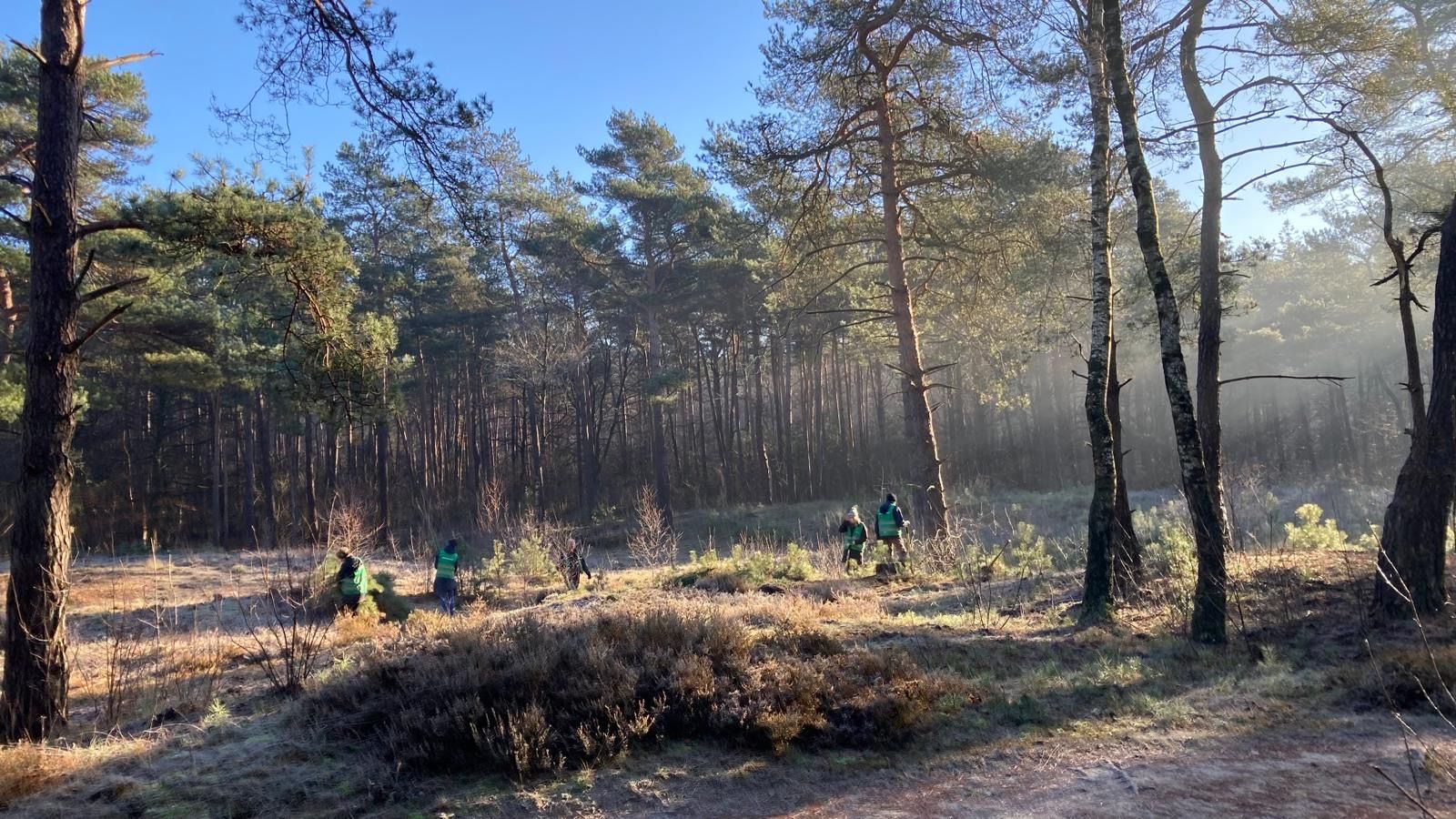 Boompjes redden met Meer Bomen Nu