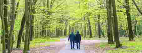 Maatje voor excentrieke flamboyante man met dementie | Carintreggeland (Wheehof)