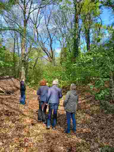 Werkgroepen IVN Maasduinen