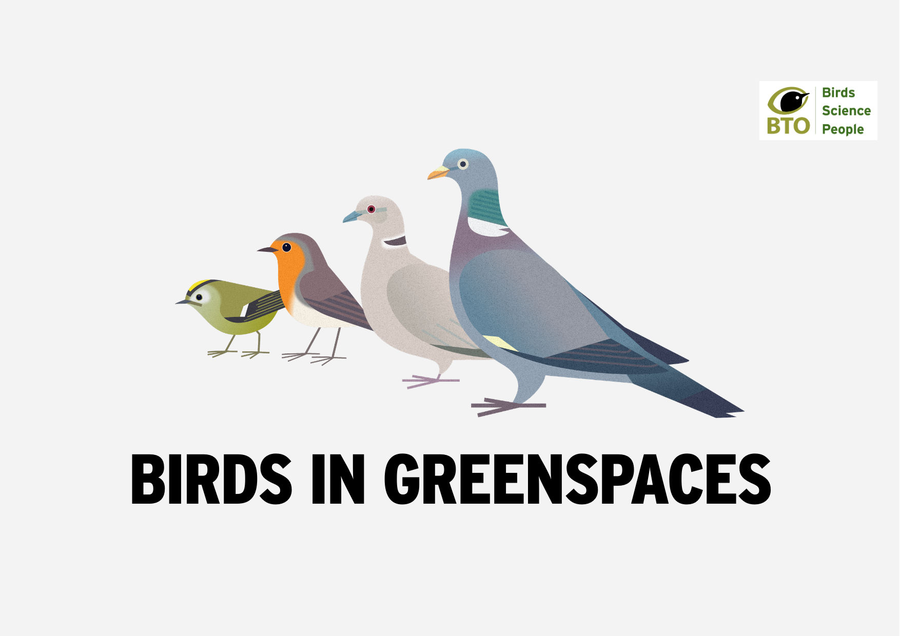 Birds in Greenspaces