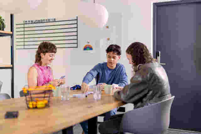 Hoofdbewoner Bilthoven gezocht!