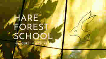 Volunteer Woodland Steward