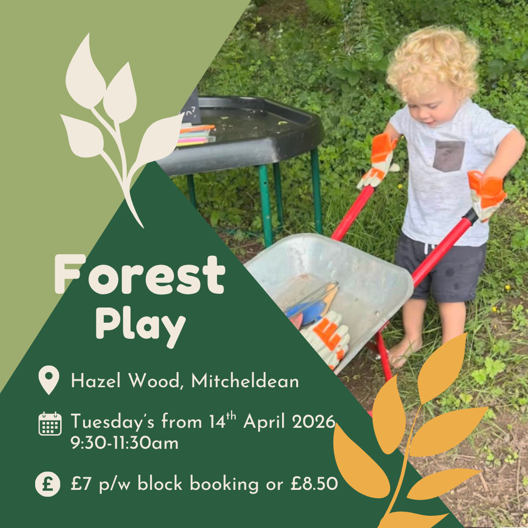 Children's Play Volunteer