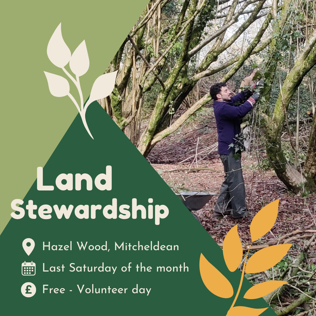 Land Stewardship Day Volunteer