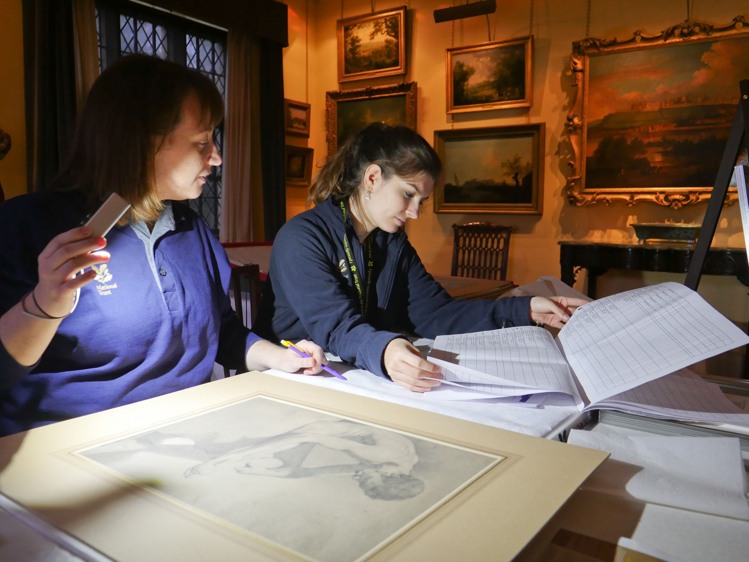 Collections Care Volunteer