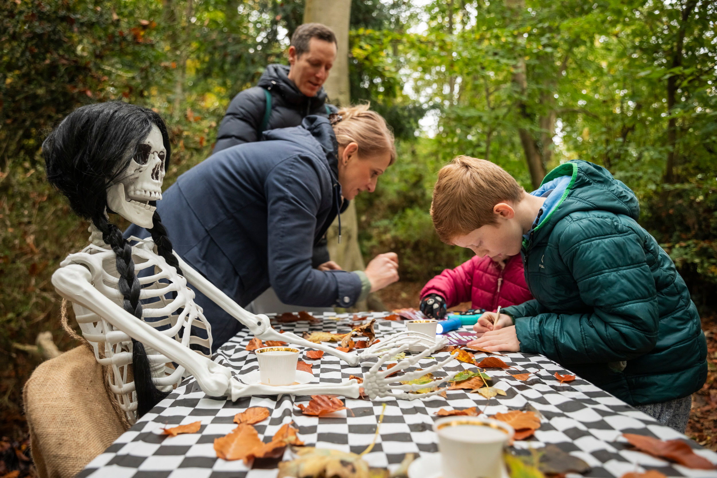 Creative Maker & Set Designer Volunteer