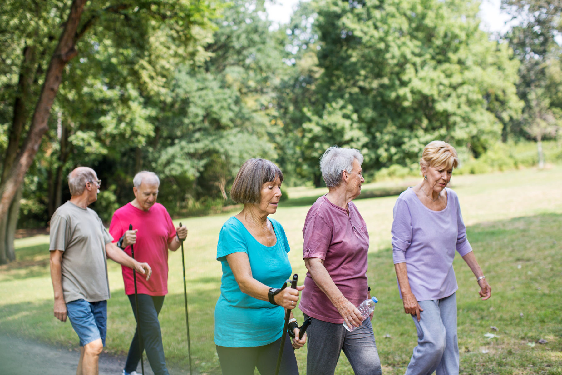 Wellbeing Walk Volunteer 