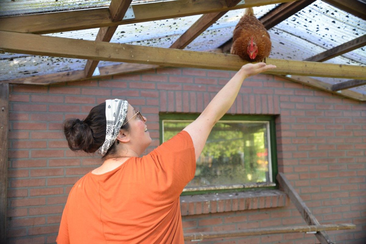 Lisa vrijwilliger kinderboerderij