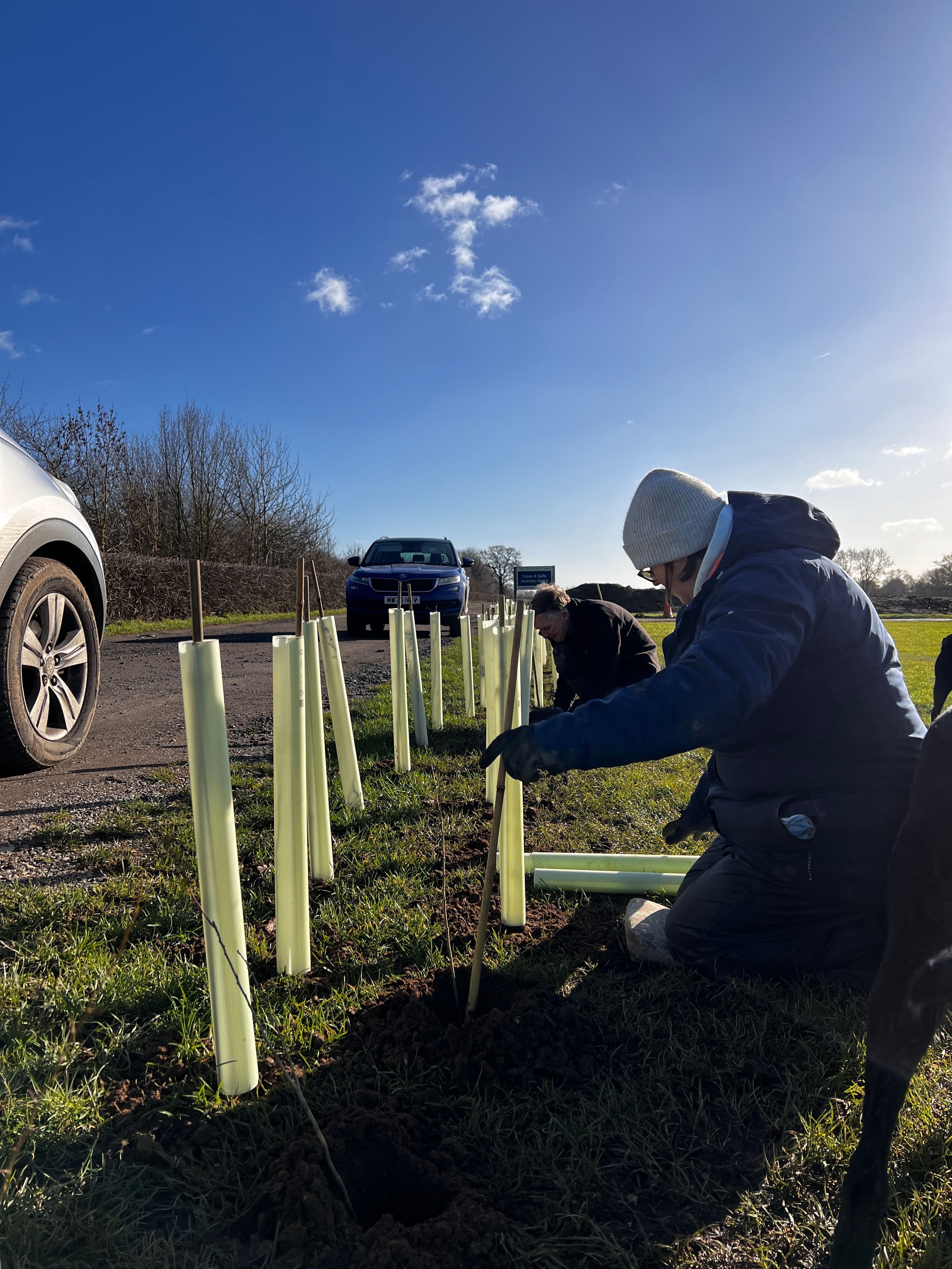 Tree Planting at Huntingdon Racecourse 