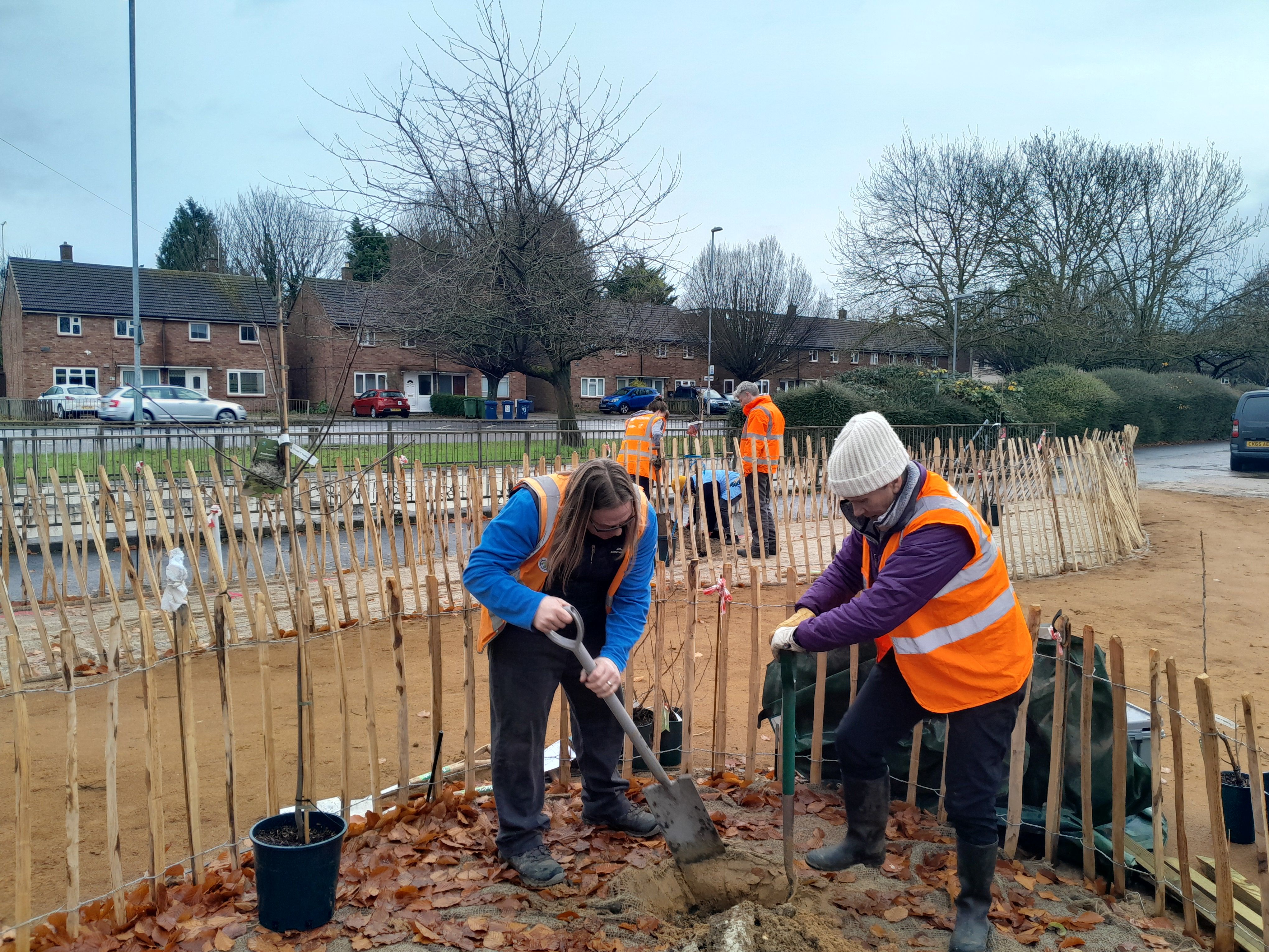 Barnwell Verge: Seeds of Hope planting