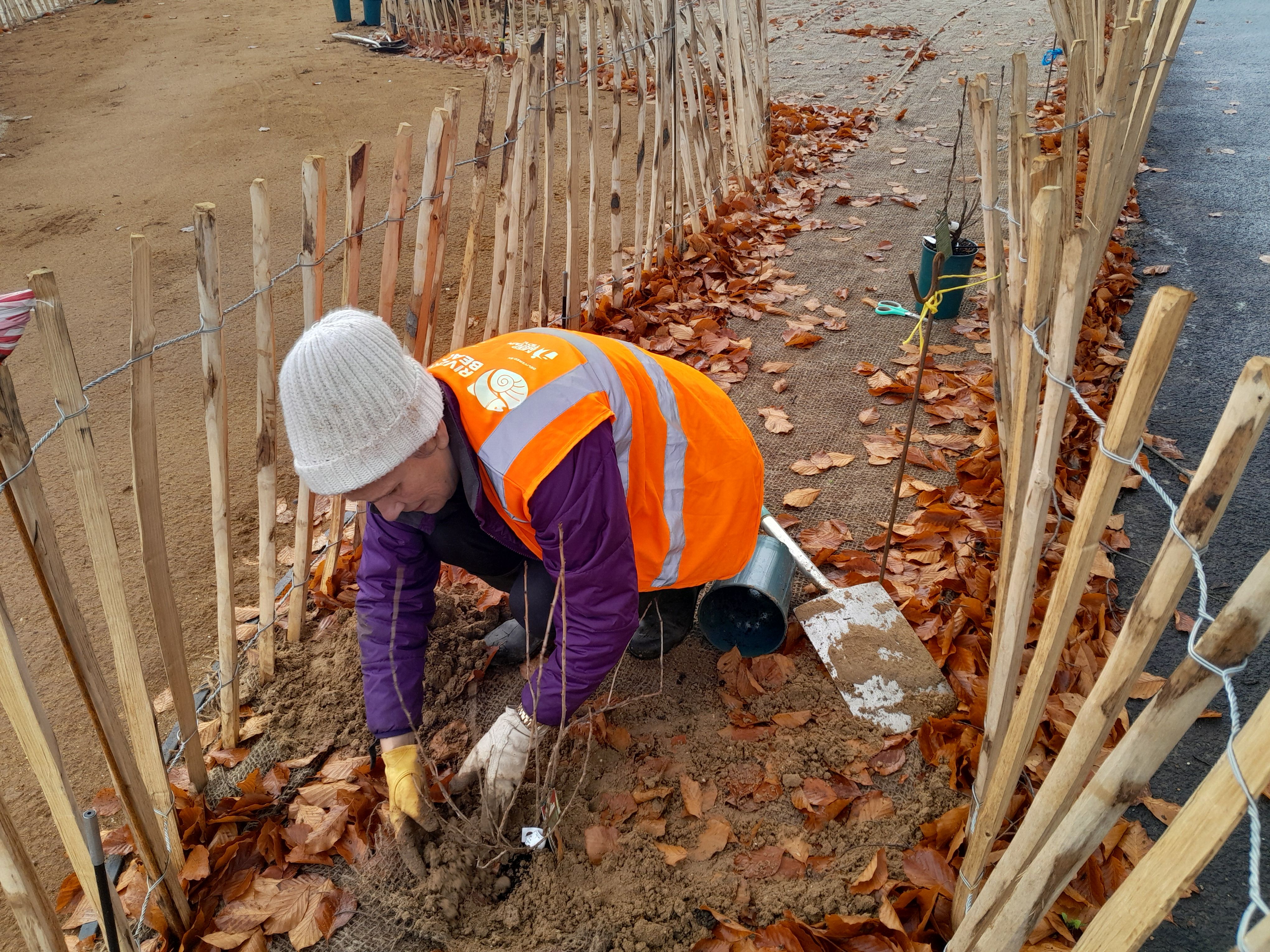 Barnwell Verge: Seeds of Hope planting