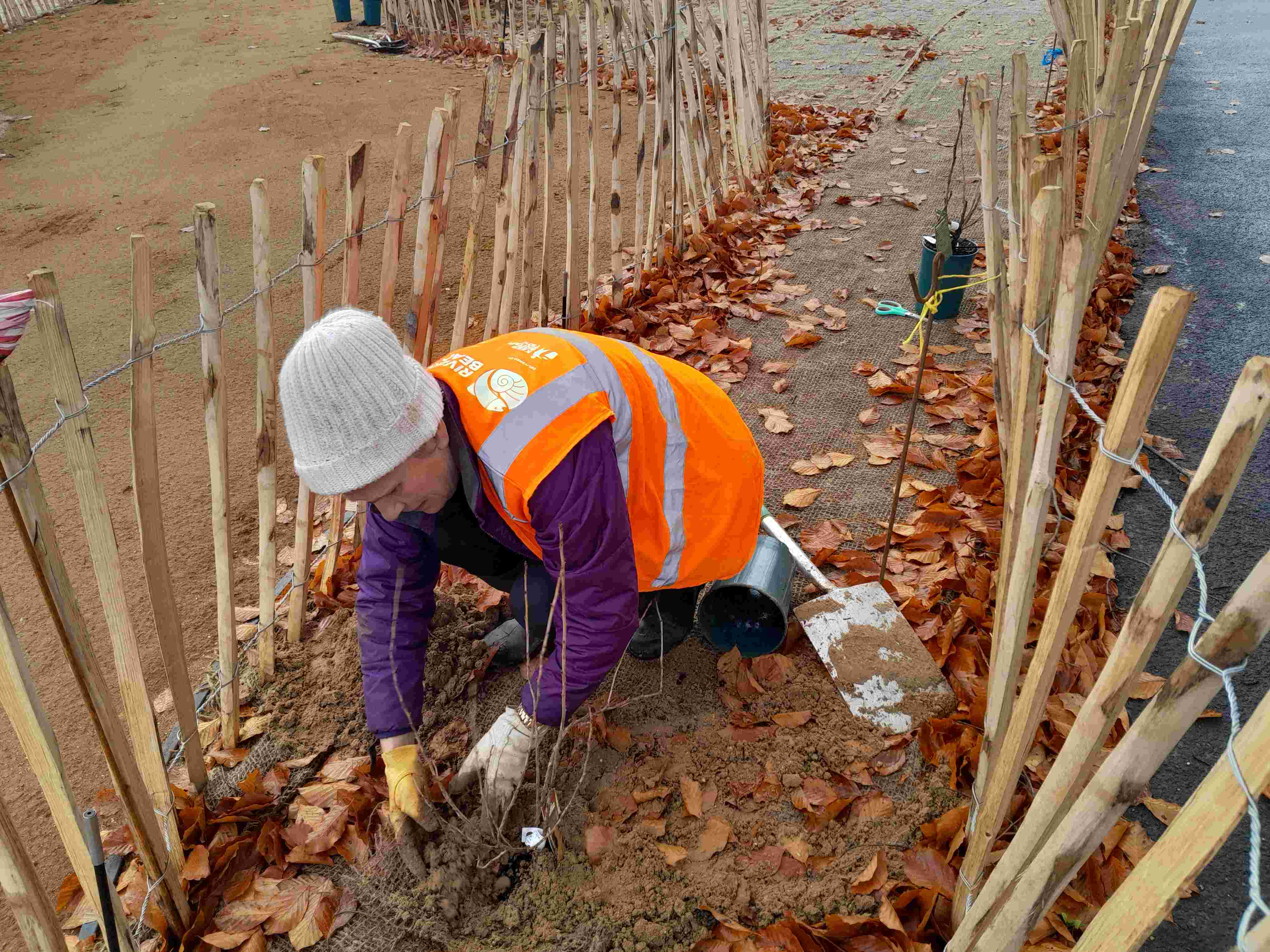 Barnwell Verge: Seeds of Hope planting
