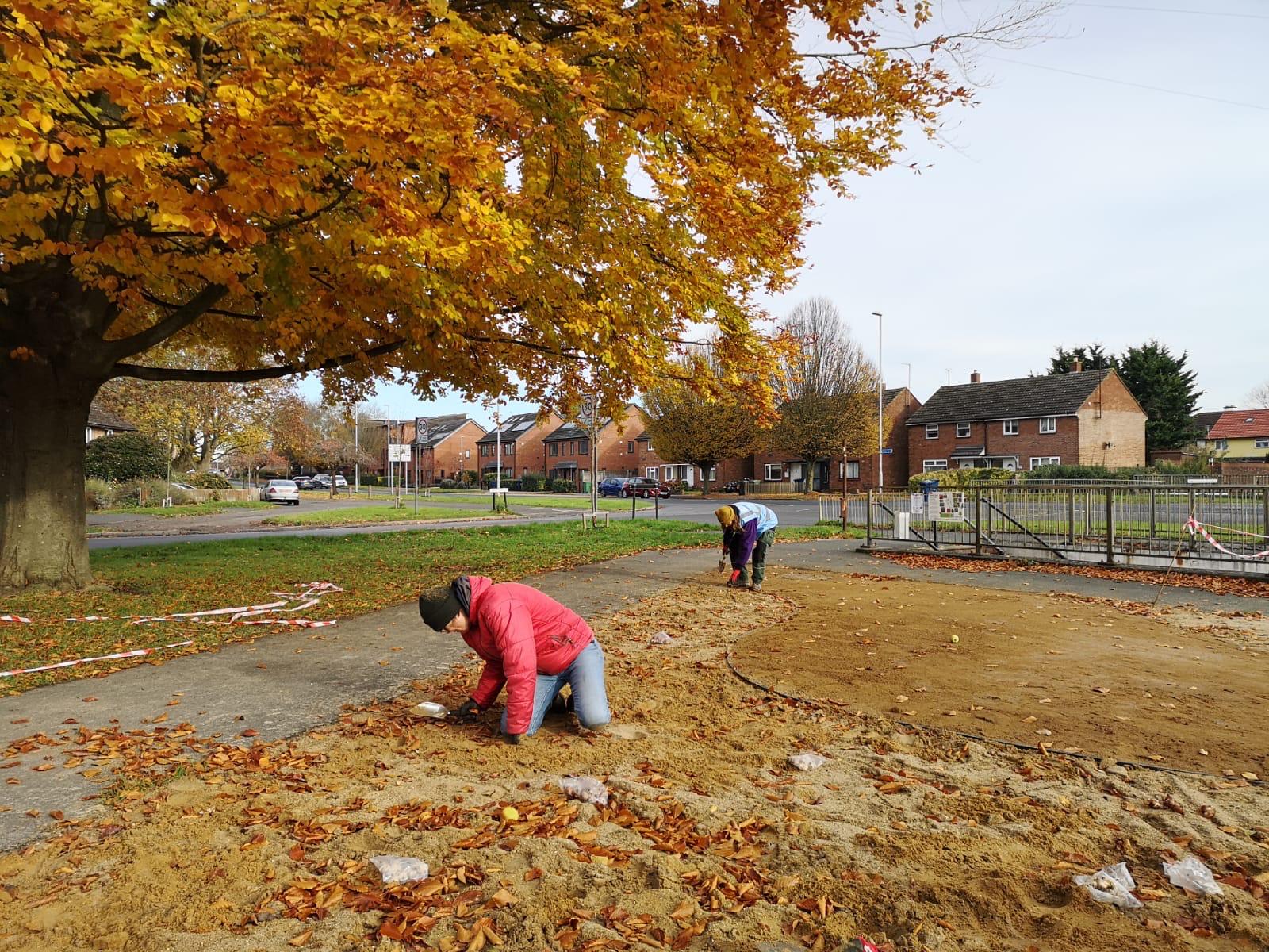 Barnwell Verge: Seeds of Hope planting