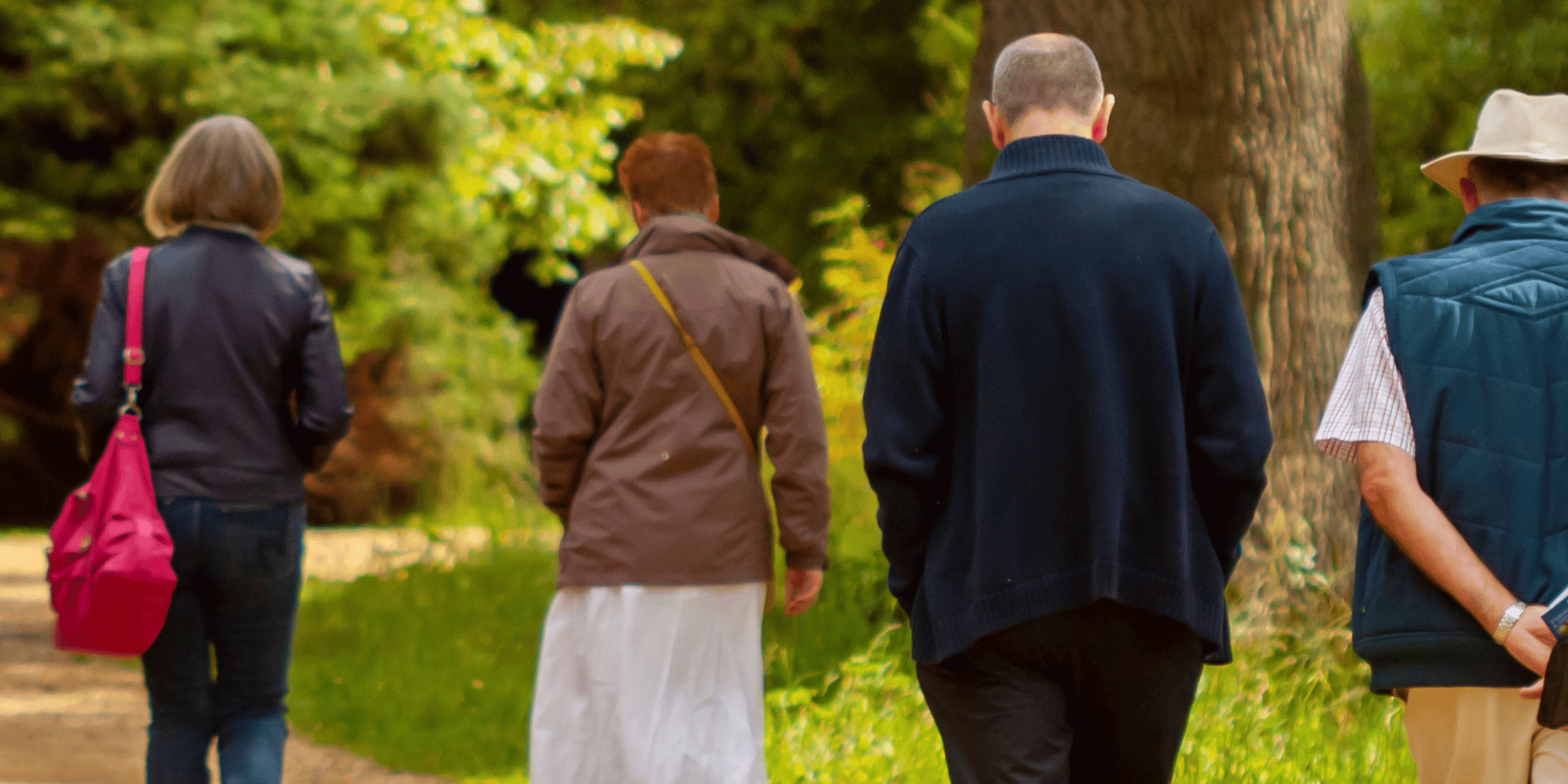 Befriender for Dog walks and companionship