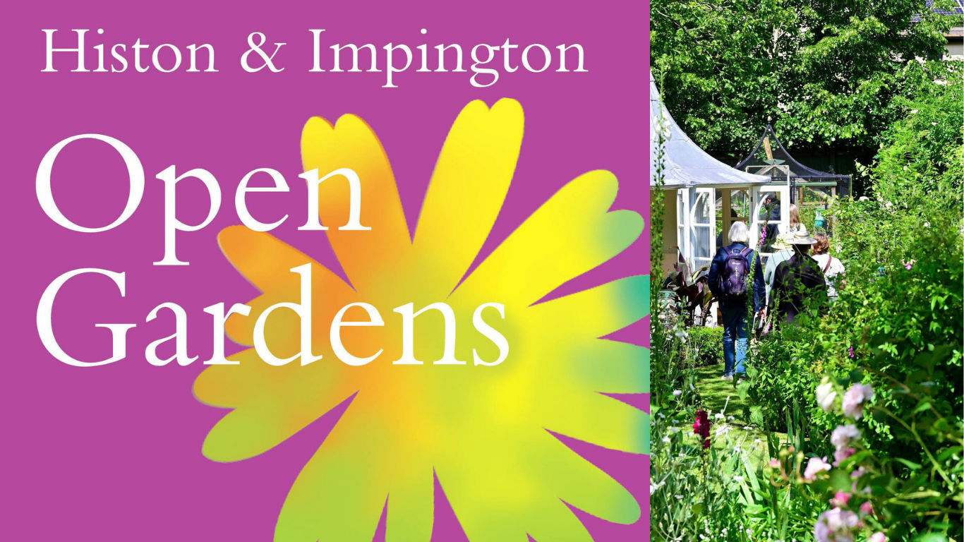 Volunteer at the Histon & Impington Open Gardens
