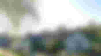 Community Association Volunteer