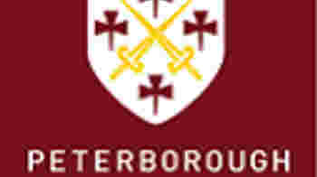 Cash Counting Volunteer