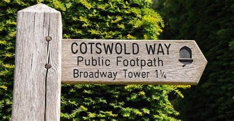 Communication and Marketing Volunteer or Trustee