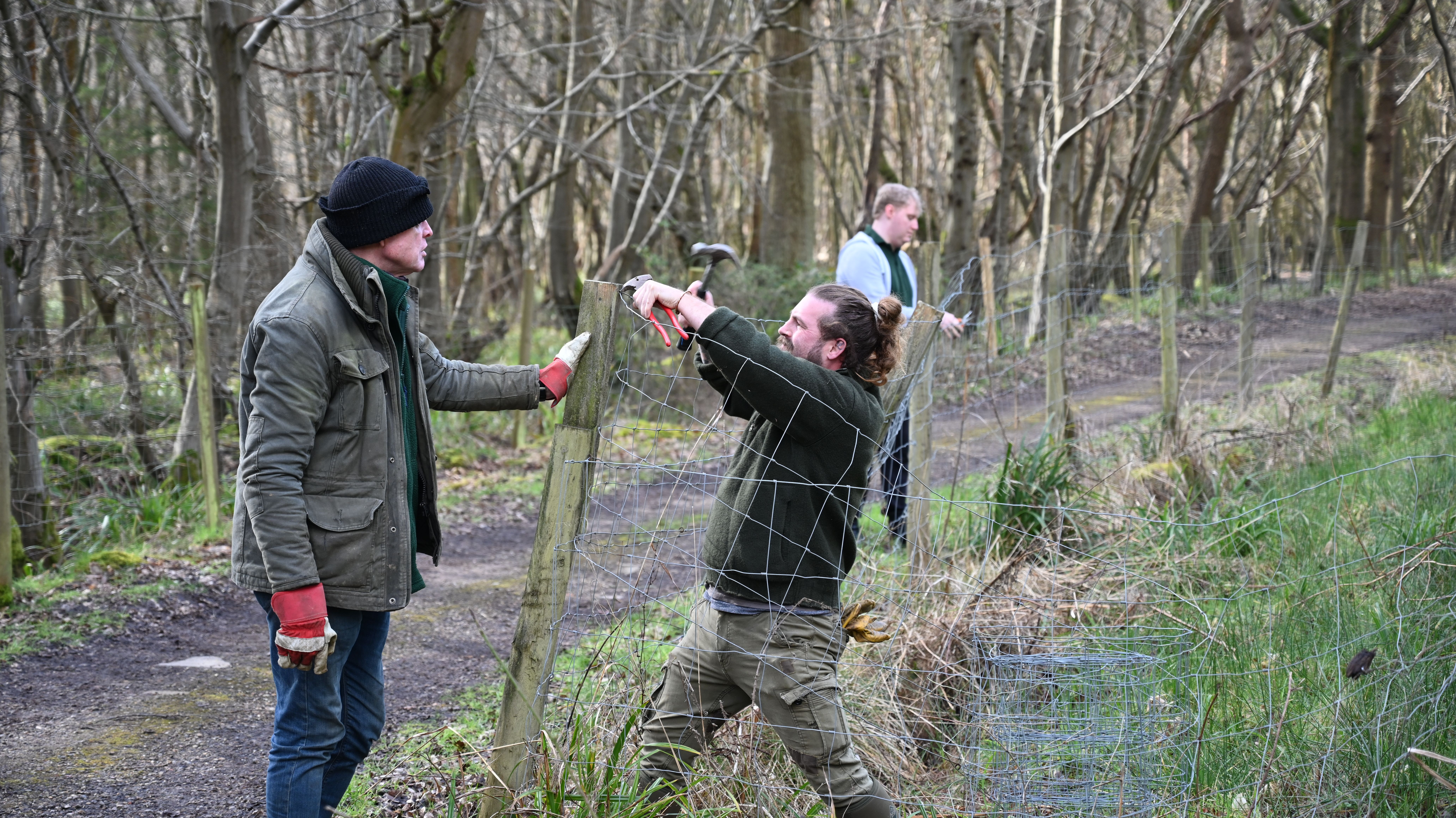 Conservation Volunteer 