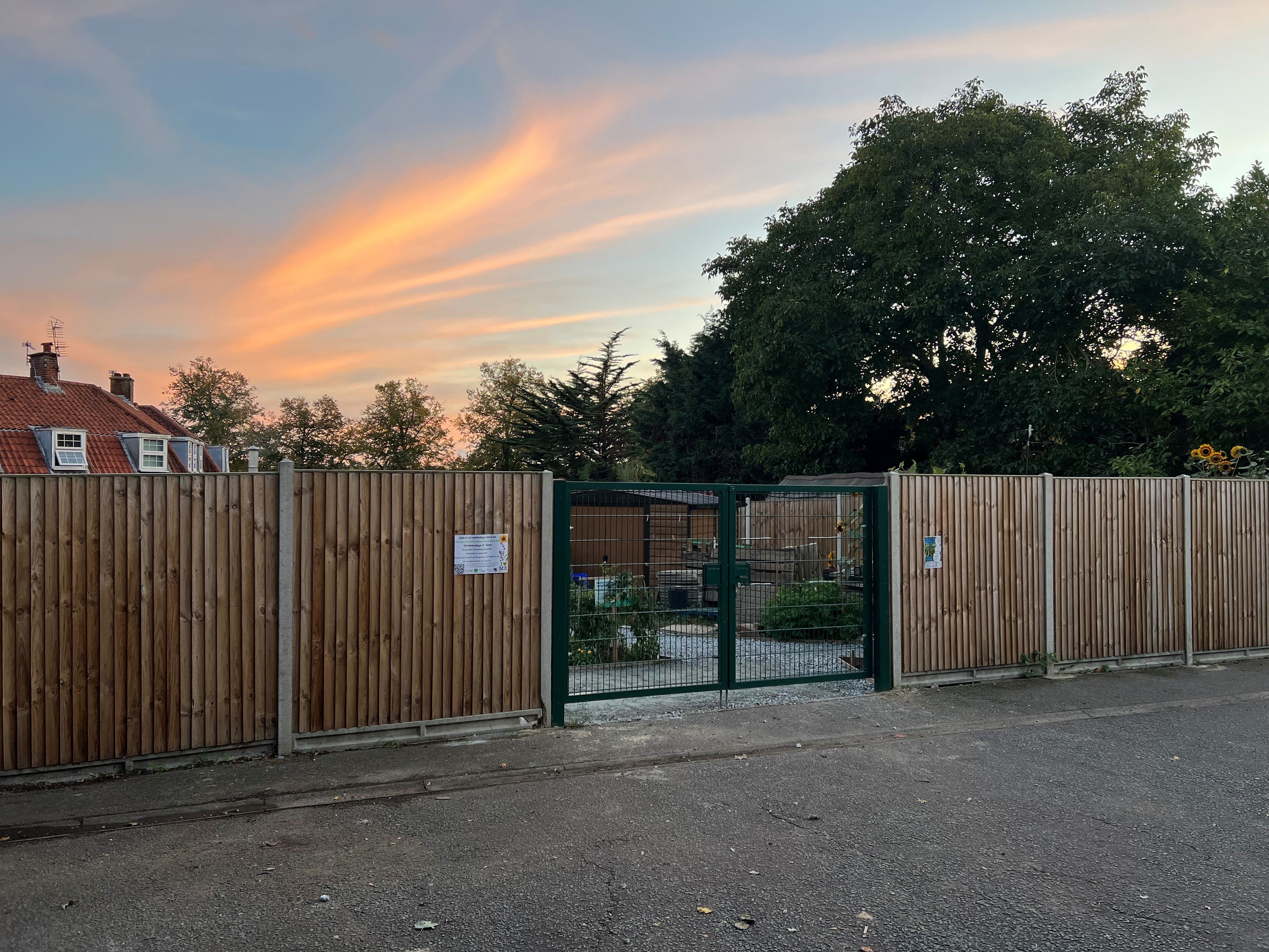 Creating a community garden on Burges Road in Mile Cross