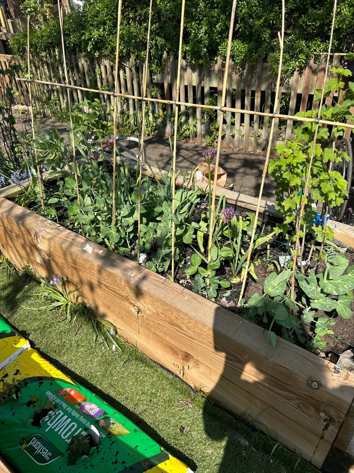 Weekly gardening group with Mile Cross Green Hearts