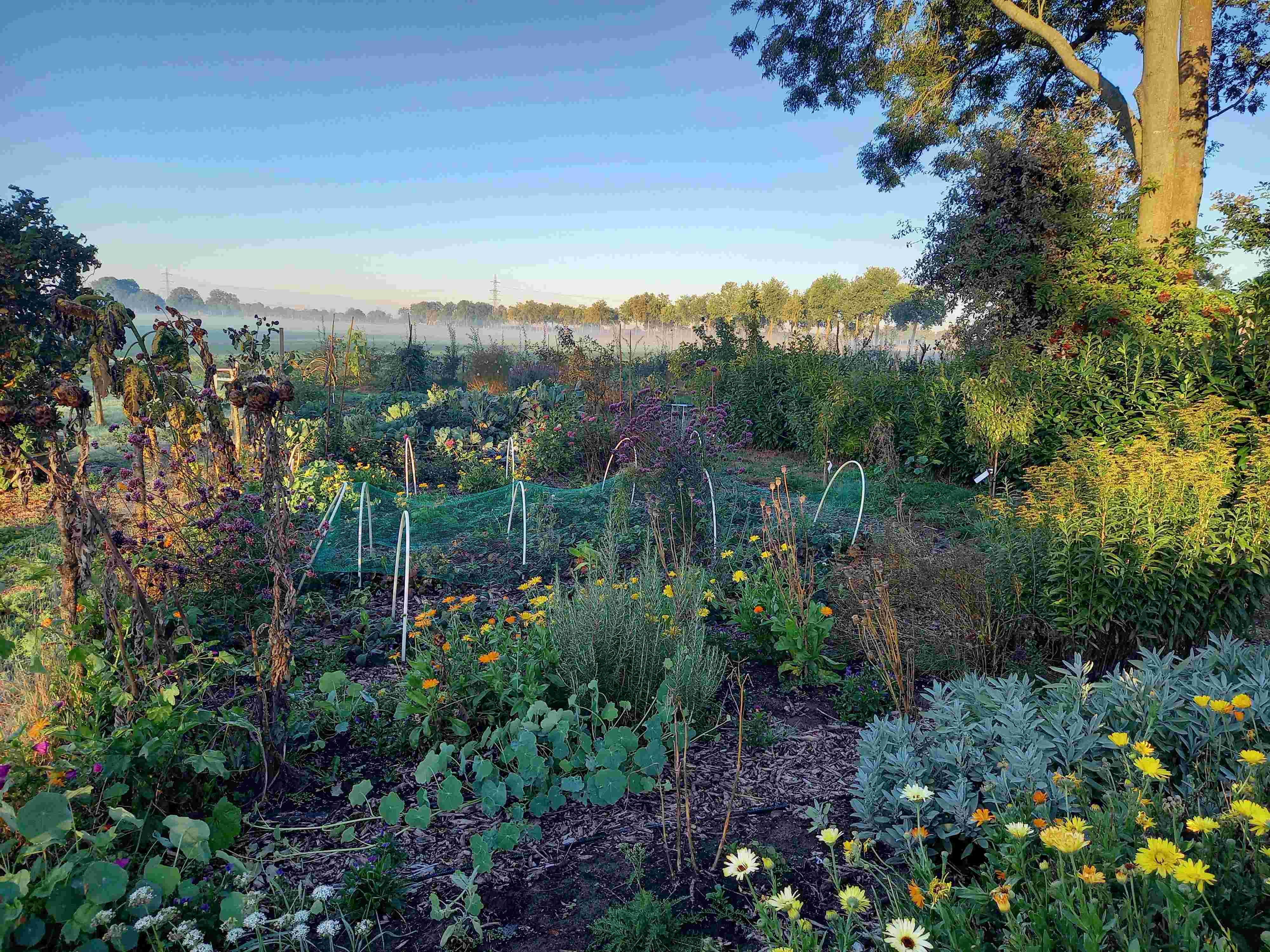 Help mee in de moestuin