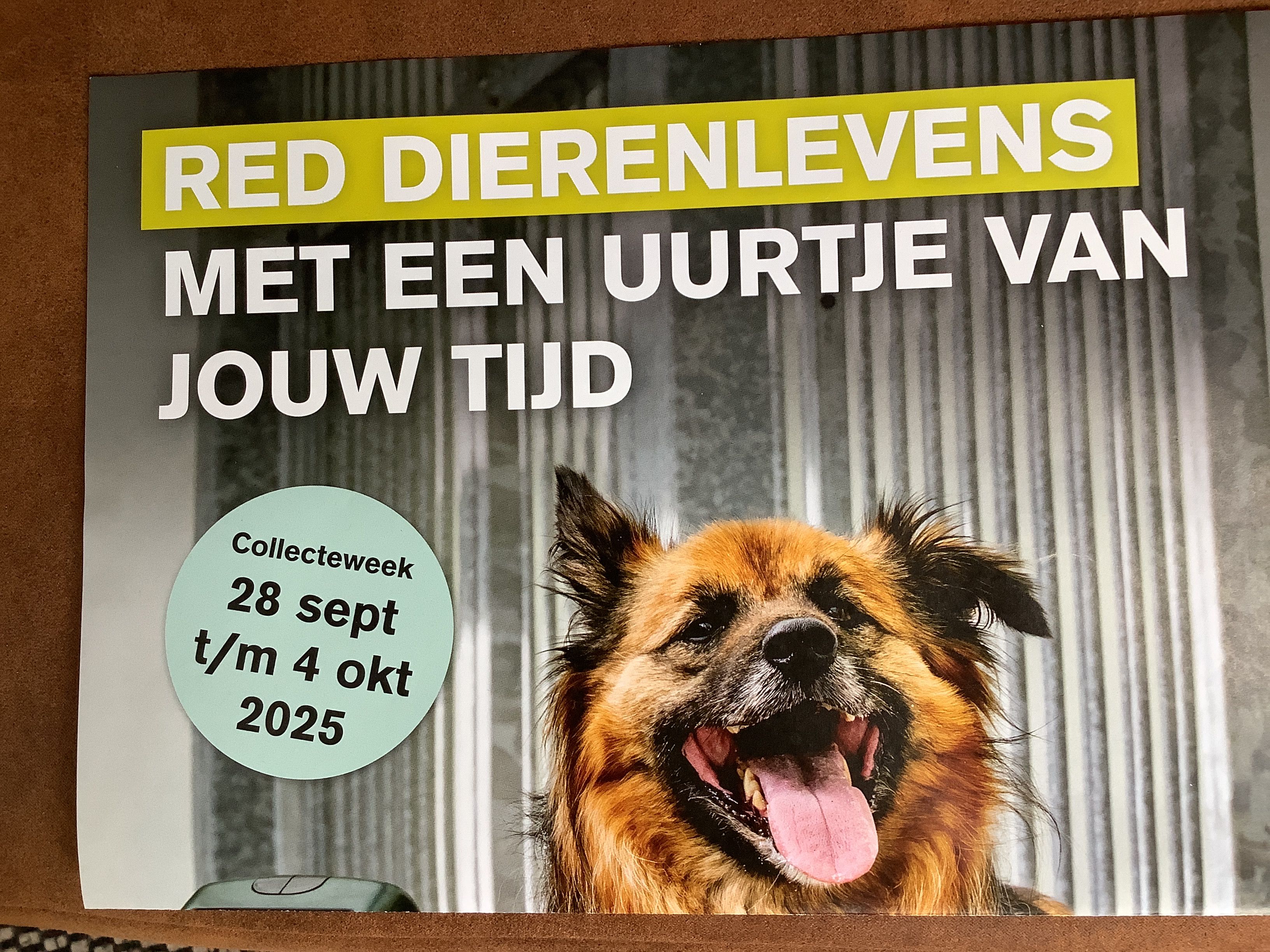 Collecteer voor de Dierenbescherming, 1 uurtje in de week van 2 t/m 8 oktober 