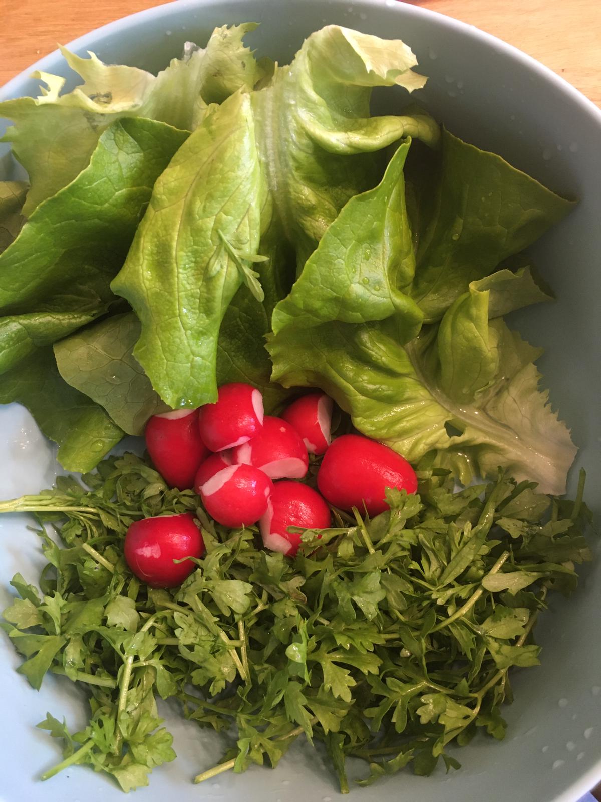 Natuurcoach voor de schooltuinen