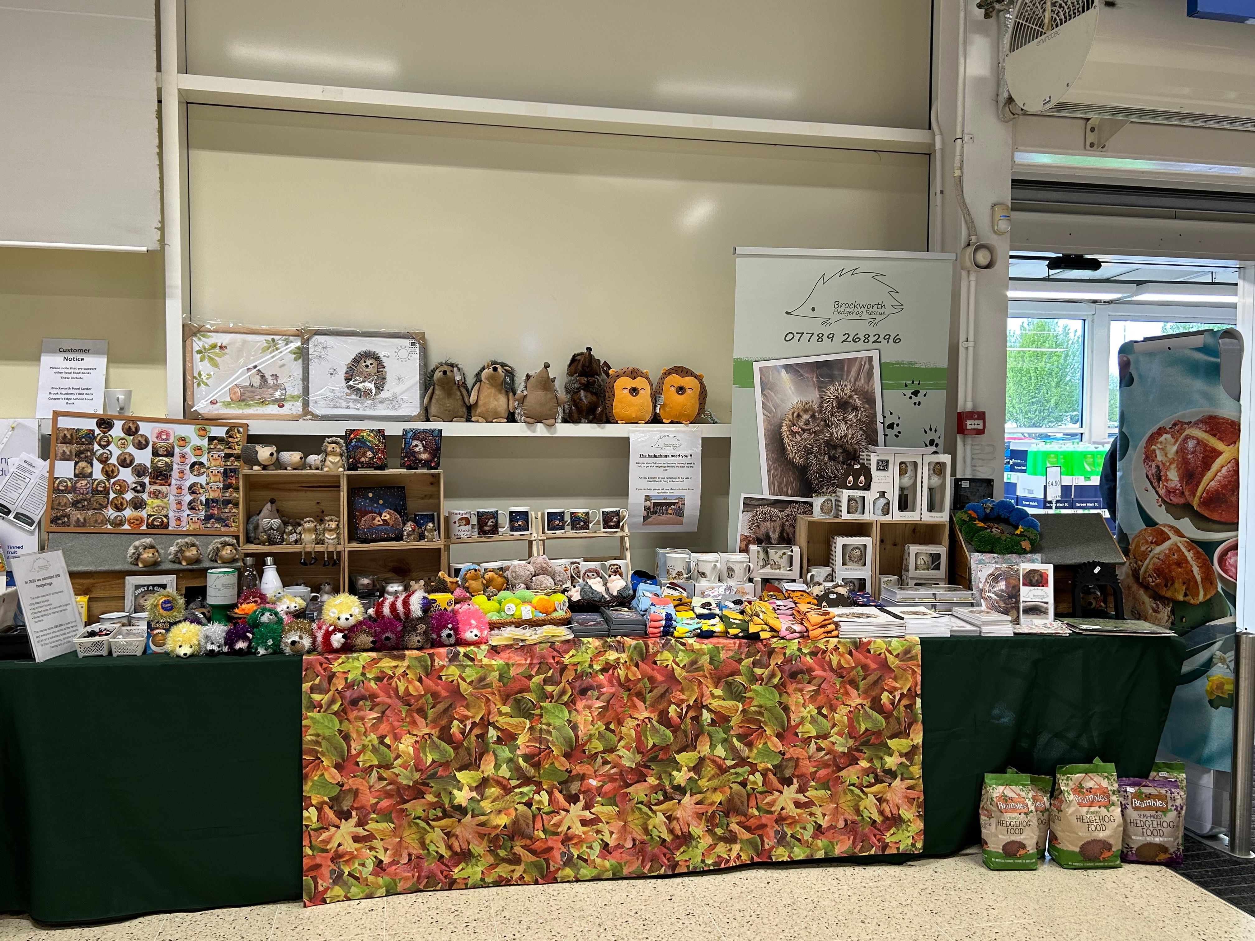 Fundraising and Events Volunteer 