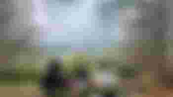 Grandmentor - Volunteer Mentor