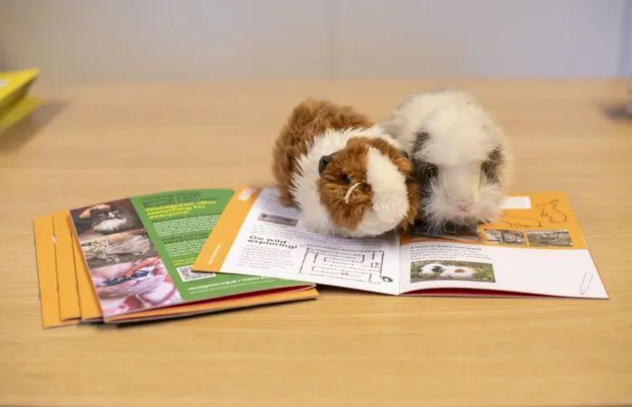 Volunteer Community Pet Speaker