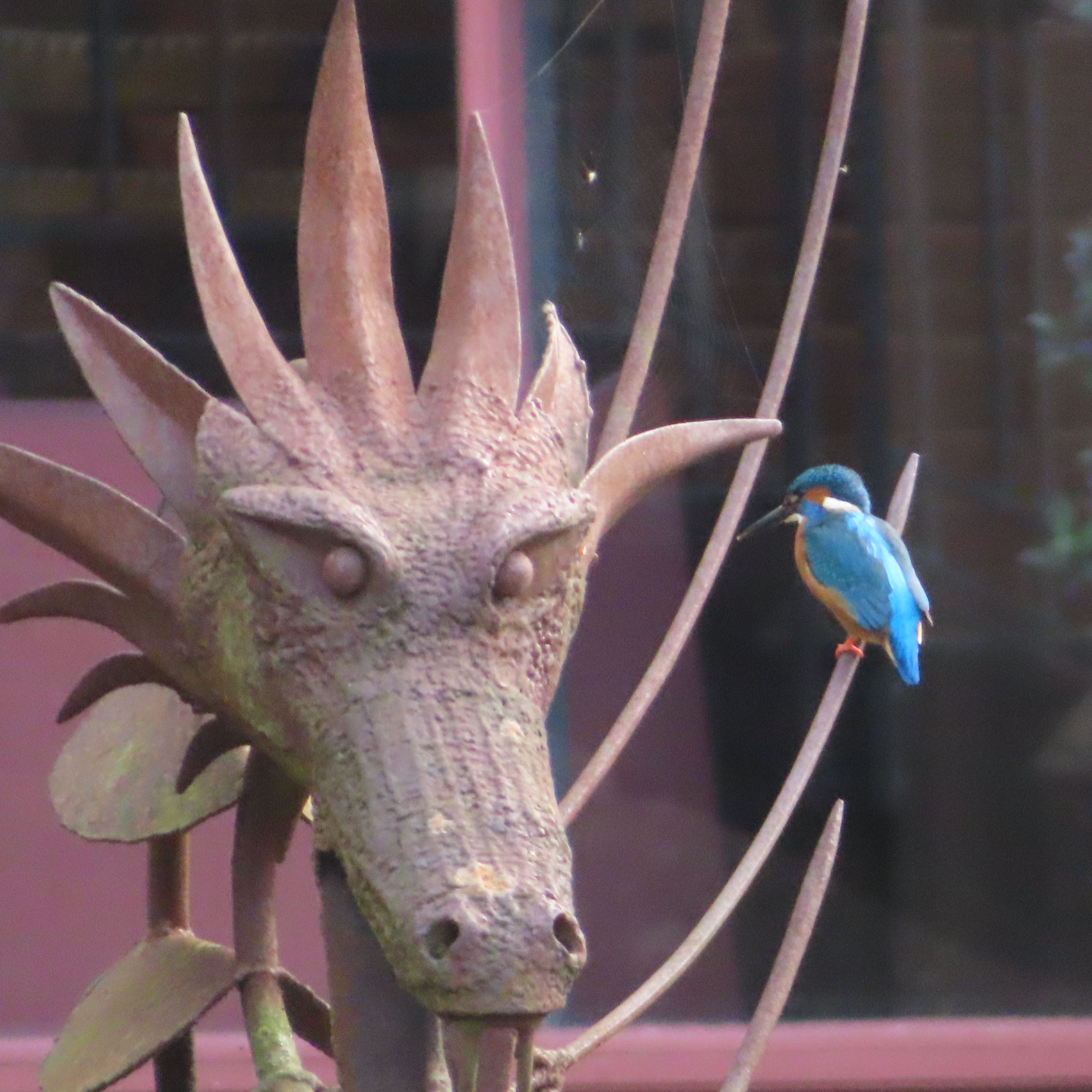 Front of House Volunteer