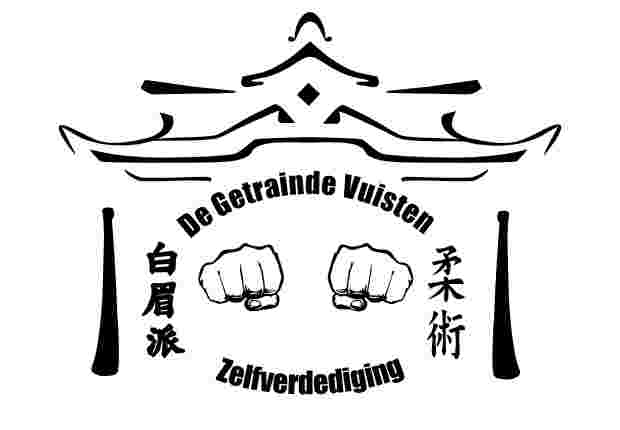 Boekhouder voor stichting de Getrainde Vuisten