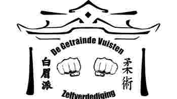 Boekhouder voor stichting de Getrainde Vuisten