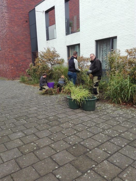 Onderhouden van tuintje en terras van ontmoetingscentrum 