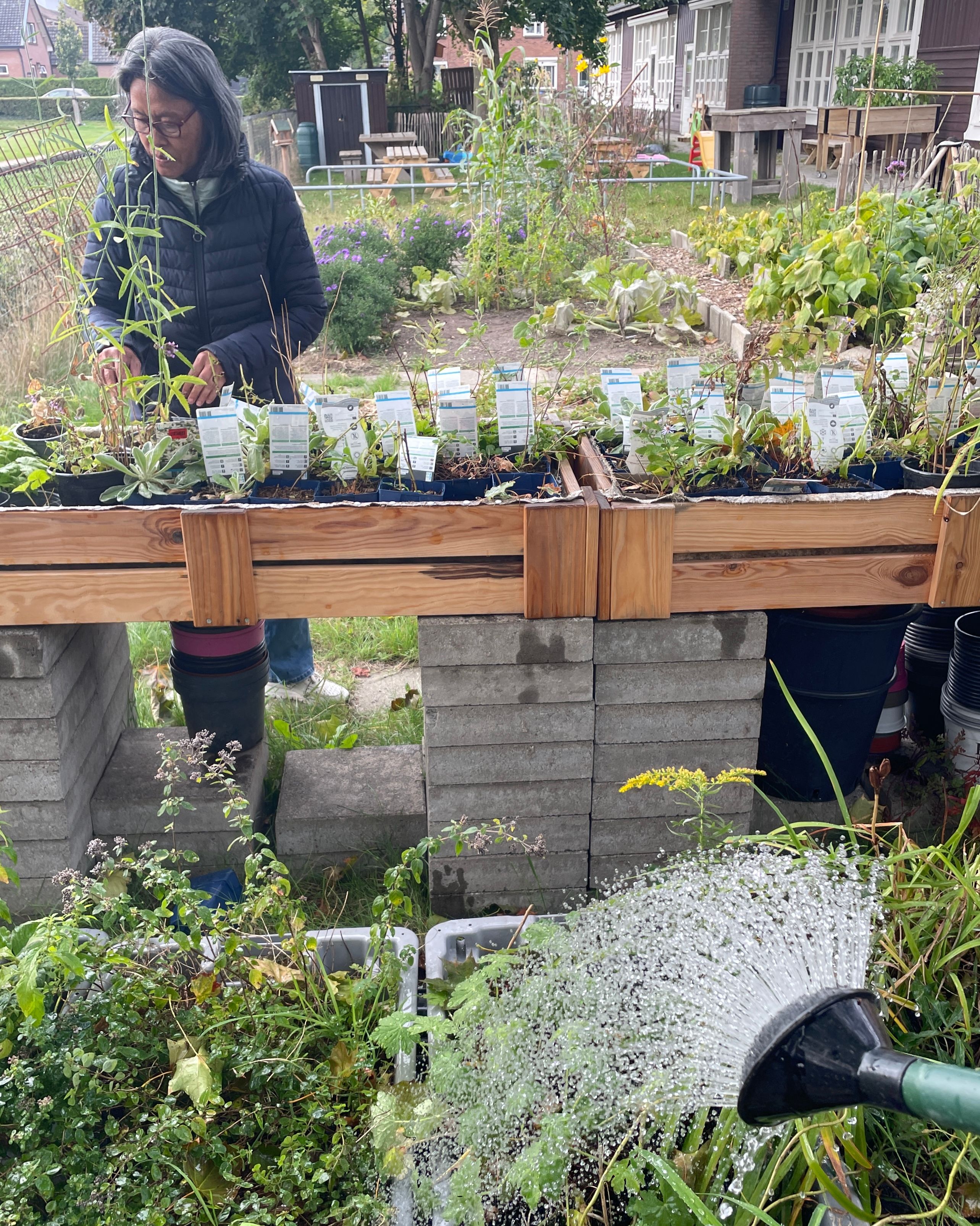 Plantenbank Coördinator - Stichting Ontkiemen (3 uur / week)