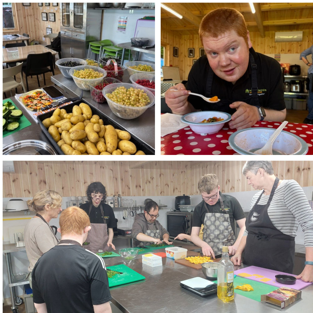 Volunteer kitchen assistant