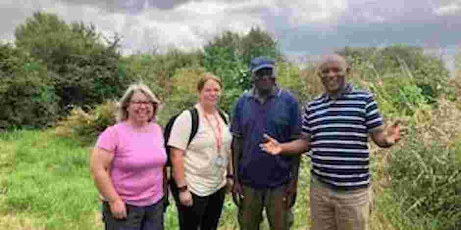 Community Garden Activation