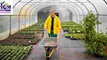 P loves looking round garden centres? Do you like this too?