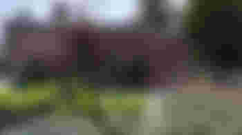 Koffiedrinken en boekenruil