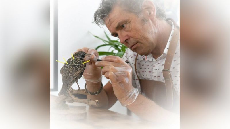 Frank geeft vogels tweede leven