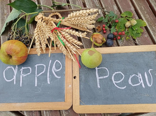 Summer help with watering duties